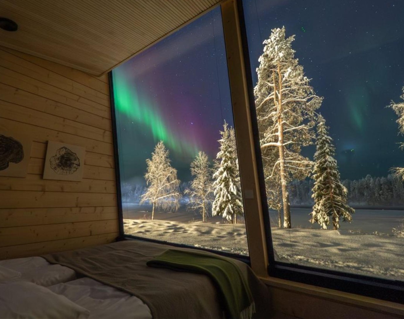 Harriniva Adventure Resort - Arctic Glass Suite